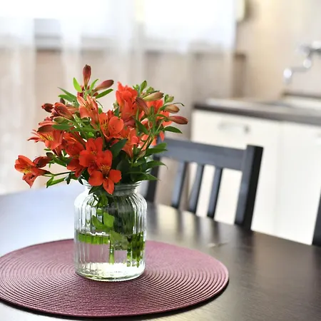 Apartment Cozy 16a *